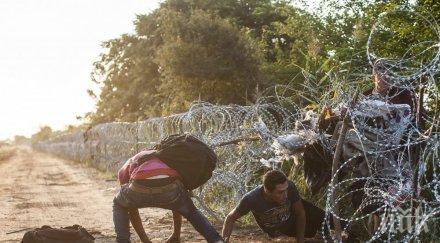 гранична полиция пик засилен бежански поток българия