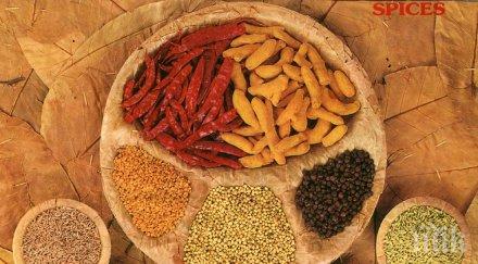 откриват базар билките хасково