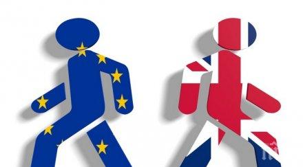 ръководителите 100 водещи британски университета предупредиха опасностите брекзит