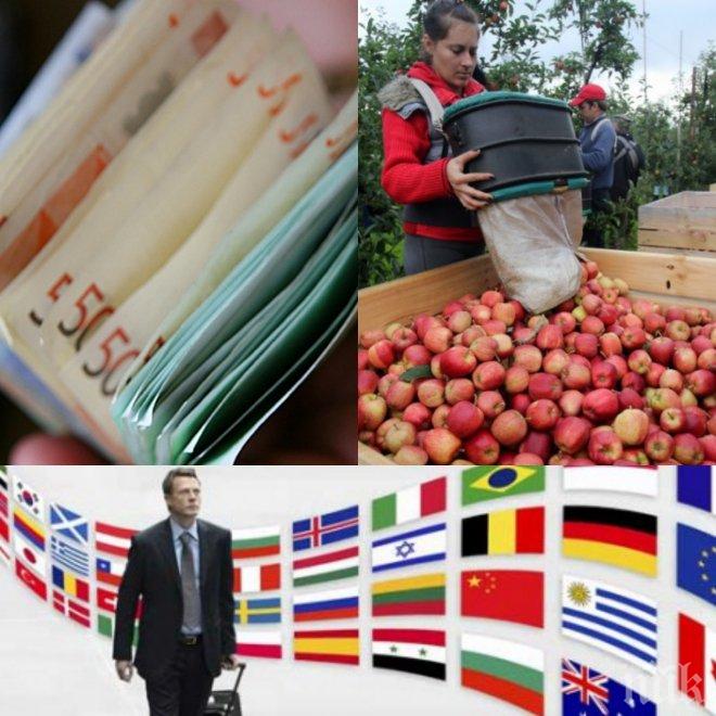 Българи за износ! Хиляди нашенци търсят работа в Европа! Вижте къде печелят най-добре