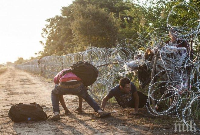 Гранична полиция пред ПИК: Няма засилен бежански поток към България