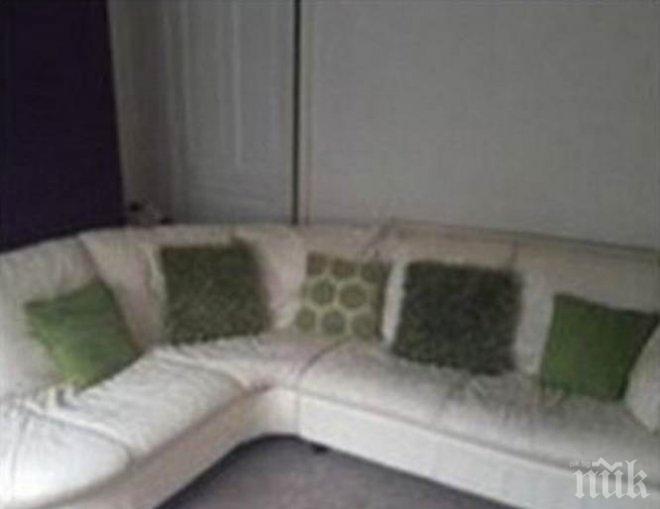 Ха сега! Какво ли е видял диванът на засукана едрогърда мацка, която решила да го продава (СНИМКИ)