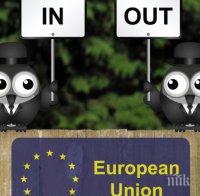 В Нюкасъл ъпон Тайн гласуваха против брекзита