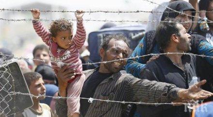 души ден умират глад бежански лагер нигерия