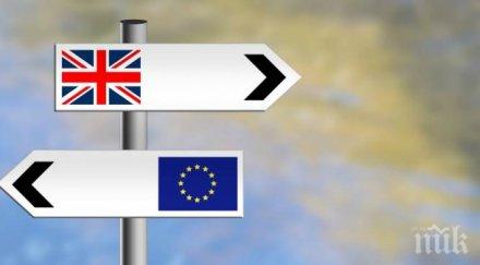 проучване ipsos mori показва гласувалите брекзита