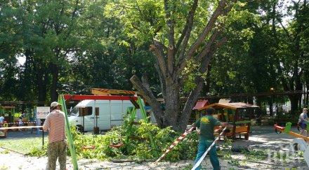 видин косъм трагедия деца родители пищят бягат