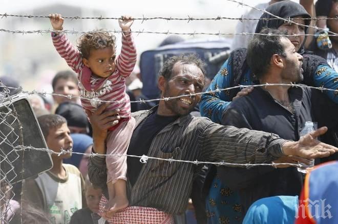 По 6 души на ден умират от глад в бежански лагер в Нигерия 