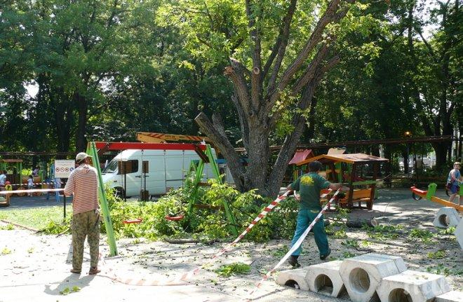 Видин на косъм от трагедия! Деца и родители пищят и бягат