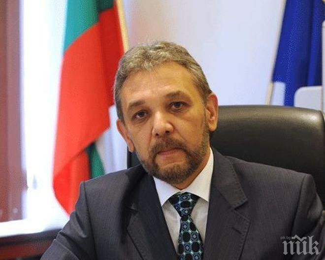 Зам.-министър: Ако производителите на череши се сдружават, 90% от проблемите им ще са решени