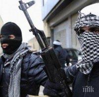 Задържаха терористи в Алжир