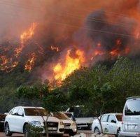 МВнР: Няма данни за пострадали български граждани при пожара в Анталия