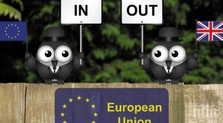 ново британците правят втори референдум излизат останат