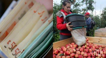 българите англия пропищяха