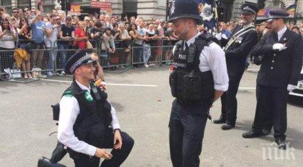 острова полицаи сгодили време гей парад яко тормозени