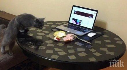 първата национална среща свободните професии