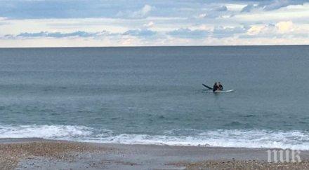 опасност две трети плажовете северното черноморие неохраняеми
