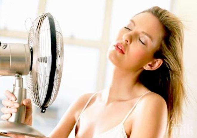 Как зодиите понасят жегите