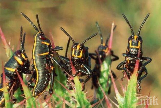 Екопарк на мястото на зоопарка в Буенос Айрес