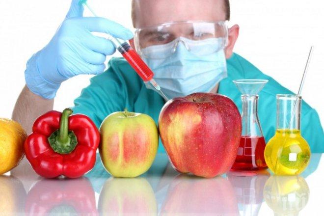 В Русия със закон забраниха ГМО-продуктите