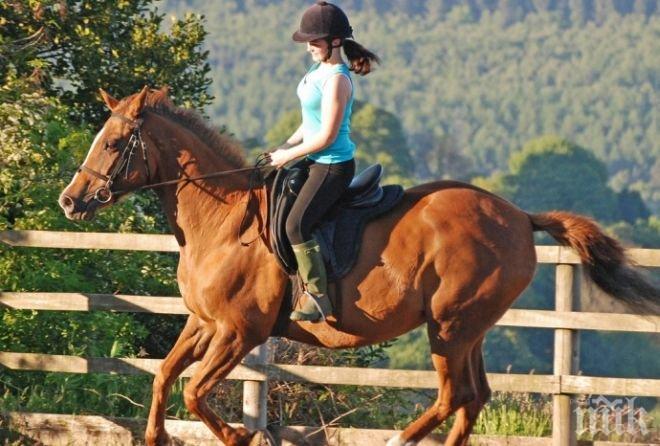 ПИК TV: Конната езда е елитен спорт по света, у нас няма много запалени по него