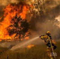 Пожар бушува край Сандански, движението по Е-79 е затруднено