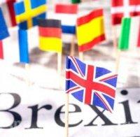 ЦИК на Великобритания заяви, че втори референдум за ЕС няма да бъде предизвикан от петиция в интернет