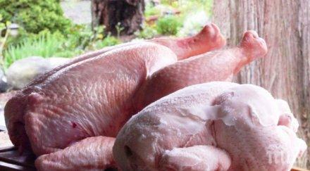 предотвратиха фиктивен внос тона замразени пилета