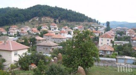 напред назад претоварен камион заклещи диреци дървета снимка