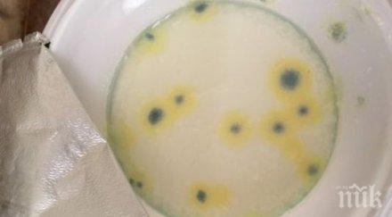 шок магазина продават кисело мляко мухъл