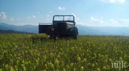 петък посрещат джул морнинг първото село българия