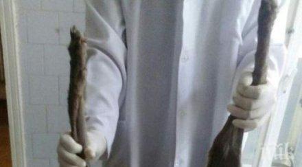 украинец уби страховитата чупакабра шокиращи снимки