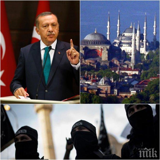 Наръчник по ердоганизъм 