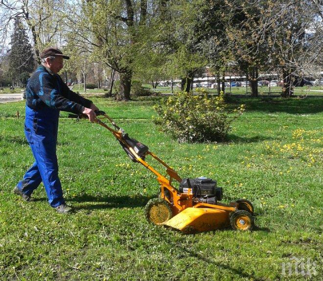 Наливат 6 млн. лева за ремонт на паркове и градини в столицата