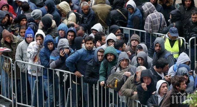 Полицията в Сърбия спря незаконно пресичане на границата от страна на мигранти