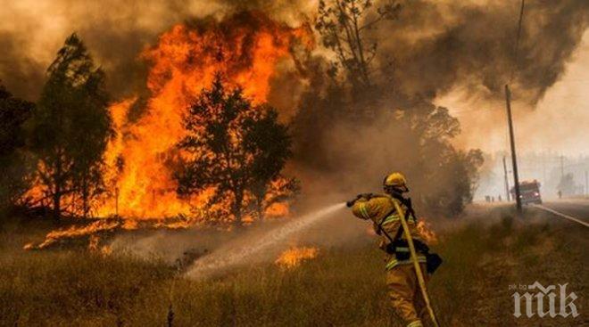 Пожар бушува край Сандански, движението по Е-79 е затруднено