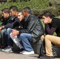 Заловиха 10 афганистанци край Видин