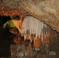 Ужас! Пещера в Уелс погълна 24 деца, тръгнали на екскурзия 