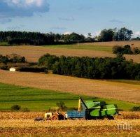 Над 115 000 земеделски стопани са кандидатствали за директни плащания през Кампания 2016 г.