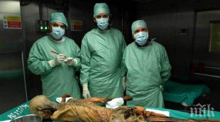 чудо бактерия оцеля 5300 години стомаха мумия