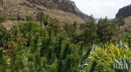 сензация откритието промени автомобилния свят