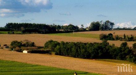115 000 земеделски стопани кандидатствали директни плащания кампания 2016