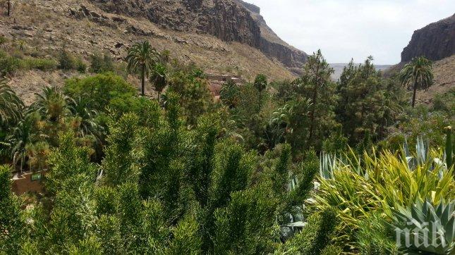 СЕНЗАЦИЯ! Откритието, което ще промени автомобилния свят