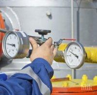Украйна е намалила вноса на газ от ЕС