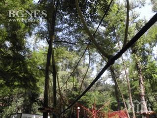 остава тежко състоянието детето паднало атракцион благоевград