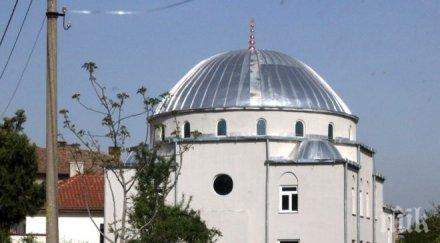 поклонници ранени мека