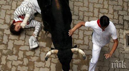 страховит бик обикаля кърджали напада хора снимка