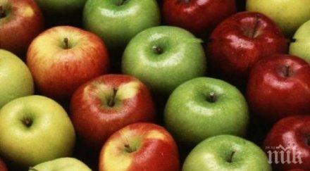 боли главата лекувайте ябълки