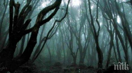 ужас вижте страшните загадъчни места планетата зловещи снимки