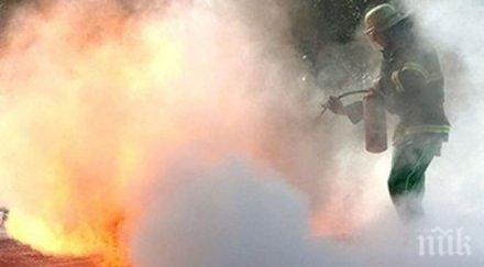 пожар изпепели 160 декара жито равнината злати