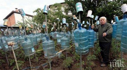 нашенец отглежда домати оранжерия пластмасови бутилки